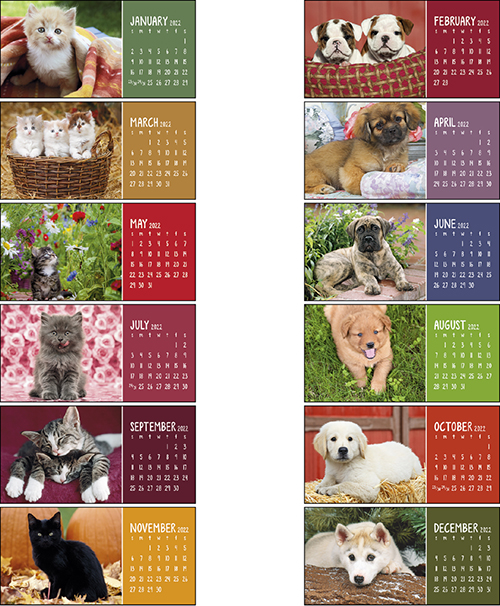 Puppies and Kittens Desk Calendar for 2022.